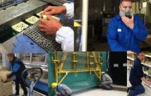 Pénibilité au travail étude